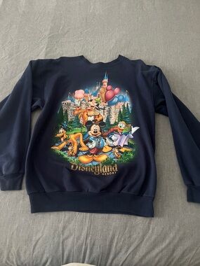 Hanes Navy Disneyland/Walt Disney World Graphic Pullover